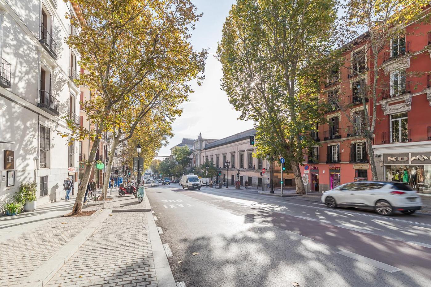 Gallery * Madri